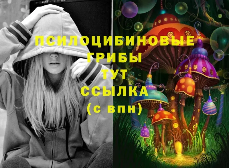 Псилоцибиновые грибы Magic Shrooms  это наркотические препараты  Скопин  где купить  